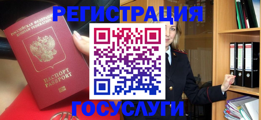 прописка поиск в Галиче